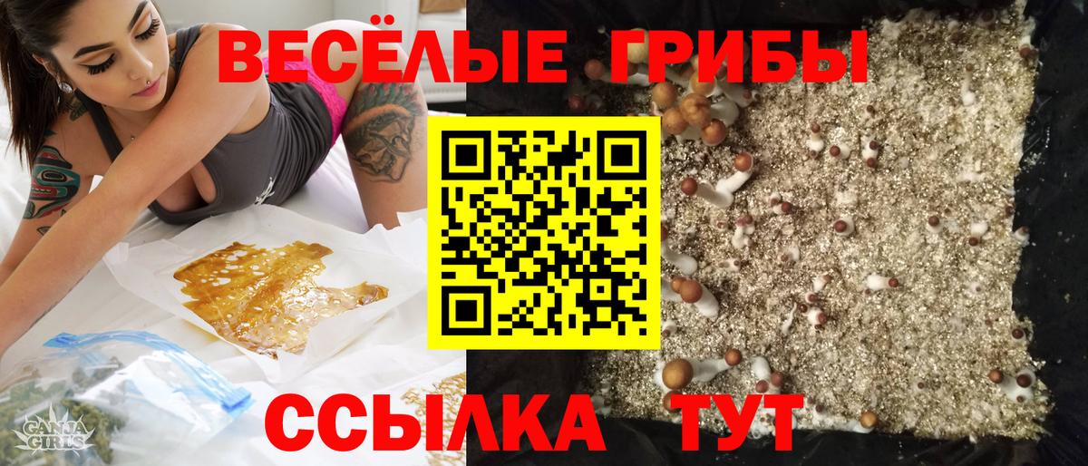 Галлюциногенные грибы Psilocybe  Вход с VPN  Сокол 