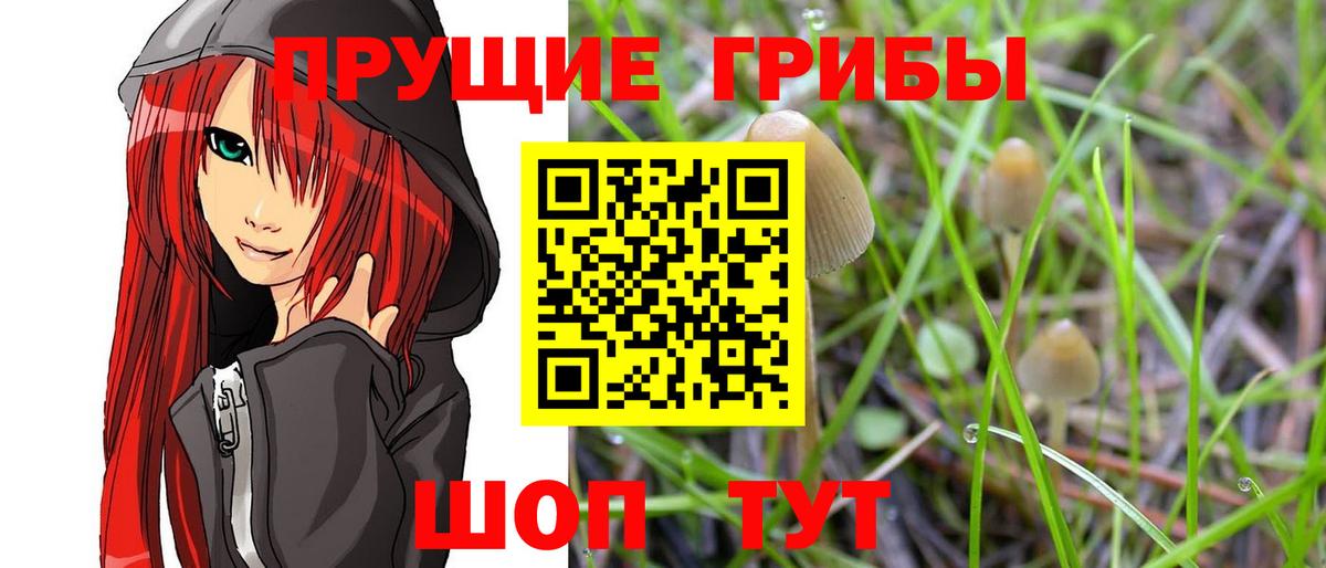 Псилоцибиновые грибы ЛСД Сокол